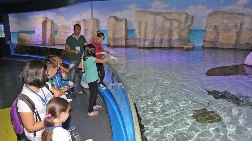 Sualtı D&uuml;nyası Yaz Okulu Başladı