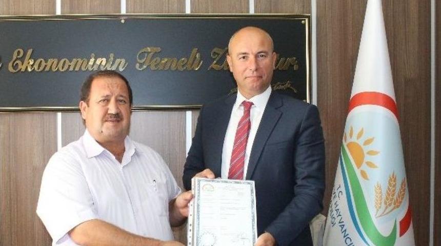 Tekkek&ouml;y&rsquo;de Mezbahanın Kalıcı Ruhsatı Tamam