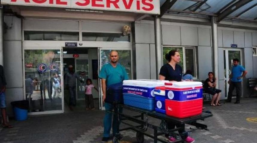 Organlarıyla Hayat Verecek