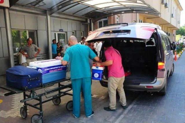 Organlarıyla Hayat Verecek 1