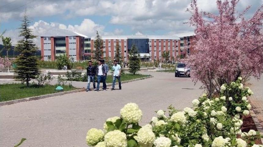 Bing&ouml;l &Uuml;niversitesi&rsquo;ne 3 Bin 305 &Ouml;ğrenci Kayıt Yaptırdı