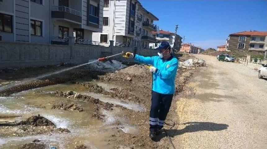 Yalova&rsquo;da Haşereyle M&uuml;cadele
