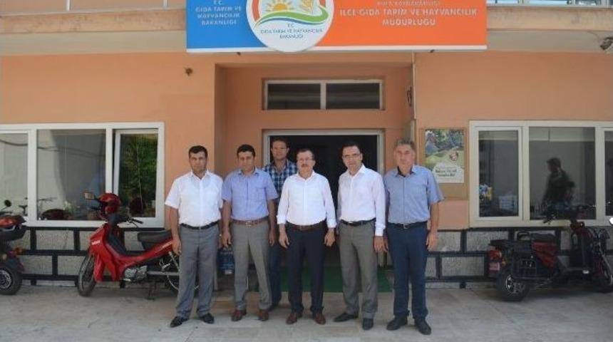 Kulalı &Ccedil;ift&ccedil;ilerin Don Ve Sel Zararı &Ouml;denecek