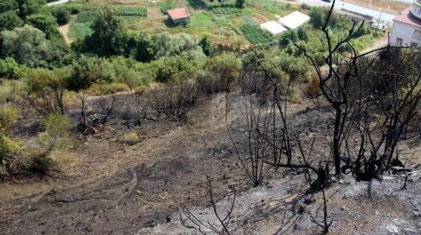 Otluk Alandaki Ateşin Ormana Sı&ccedil;ramasını Helikopter &Ouml;nledi