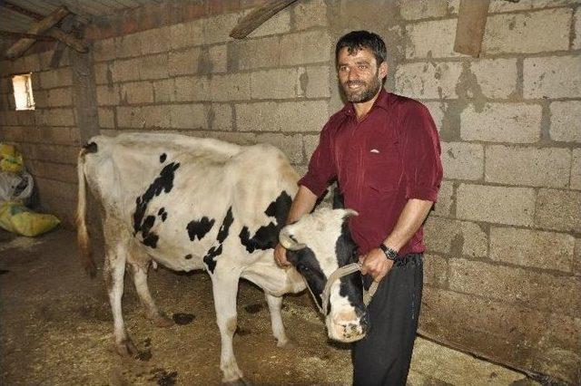 Siverek&rsquo;te Kuduz Ş&uuml;phesiyle Bir K&ouml;y Karantinaya Alındı 1