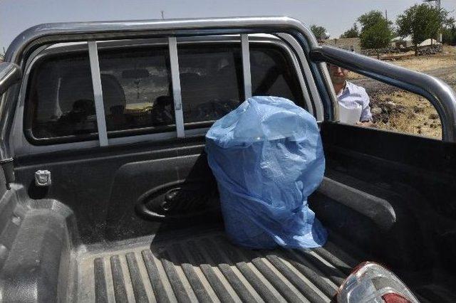 Siverek&rsquo;te Kuduz Ş&uuml;phesiyle Bir K&ouml;y Karantinaya Alındı 2