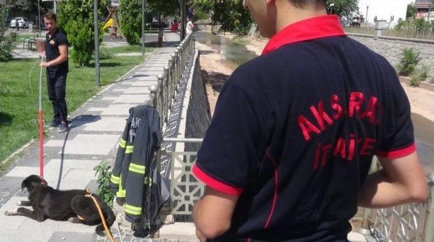 Saldırgan K&ouml;peği İtfaiye Sakinleştirdi