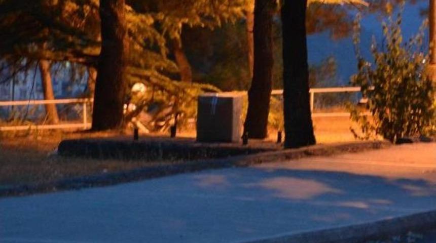 Sokaktaki Koli, Bomba Paniğine Neden Oldu