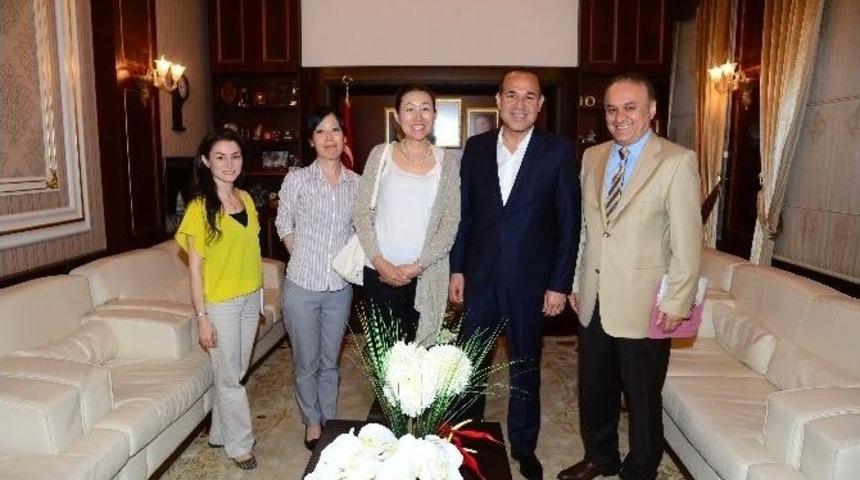 S&ouml;zl&uuml;&rsquo;n&uuml;n &Ccedil;alışmalarını Japonlar Da Takip Ediyor