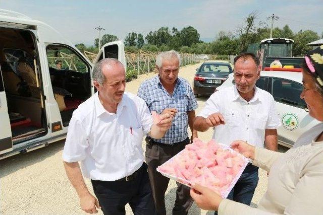 Bolu Ziraat Odası, Bebek Meyve Ormanını Ziyaret Etti