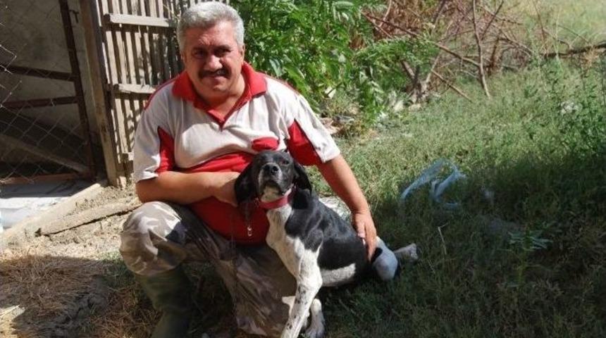 Kaybolan K&ouml;peğine Kavuştu