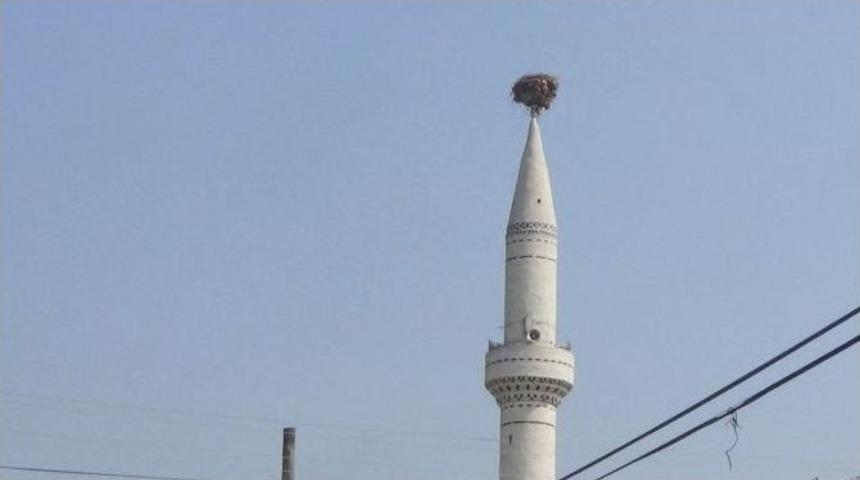 30 Yıllık Leylek Yuvası K&ouml;y&uuml;n Simgesi Oldu