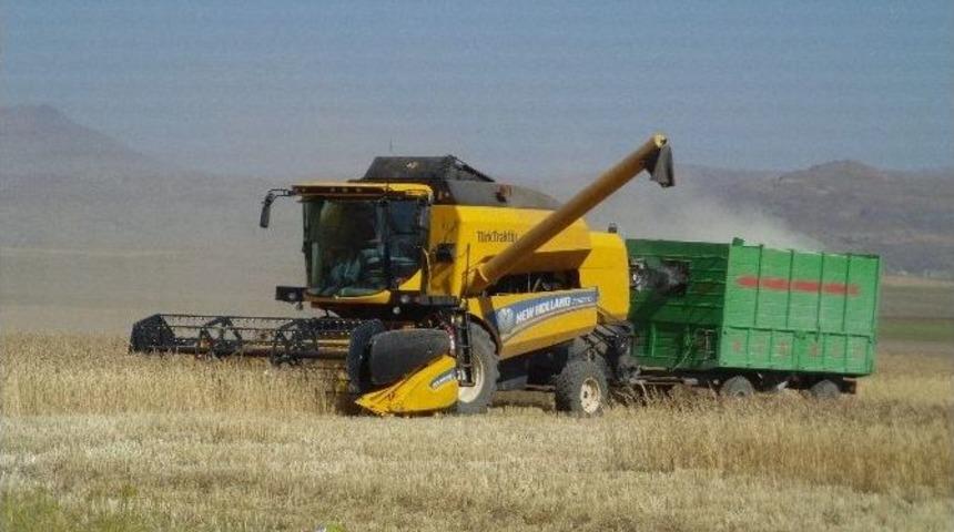 &Ouml;zalp&rsquo;ta Buğday Hasadı Başladı