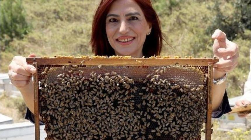 Bu B&ouml;l&uuml;me Gelen Her &Ouml;ğrenciye Bir Arı Kolonisi Veriliyor