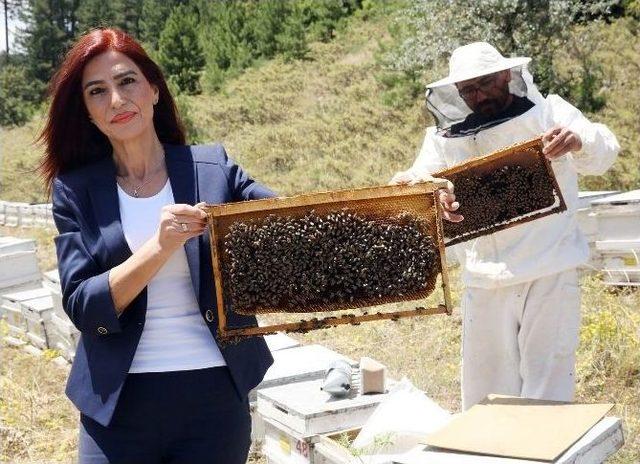 Bu Bölüme Gelen Her Öğrenciye Bir Arı Kolonisi Veriliyor