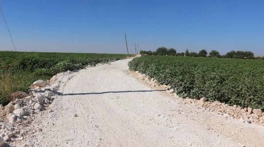 Dalbaşı Mahallesi&rsquo;nde Stabilize Yol Yapımı Tamamlandı