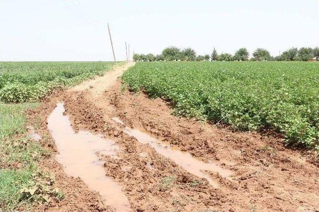 Dalbaşı Mahallesi’nde Stabilize Yol Yapımı Tamamlandı