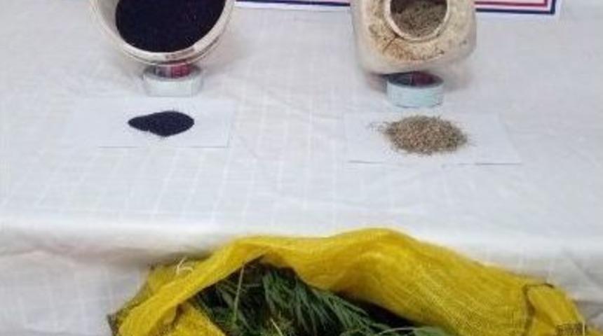 Şanlıurfa&rsquo;da Uyuşturucu Operasyonu