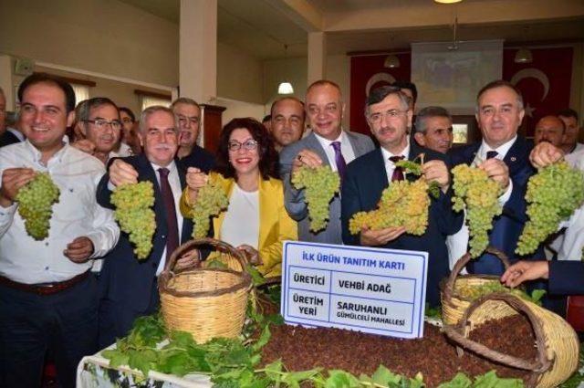 Manisa'da Sezonun Ilk Kuru Üzümü Borsa'da