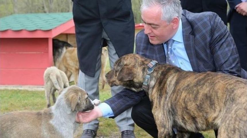 Kemerburgaz Hayvan Kliniği Yakında Hizmete Giriyor