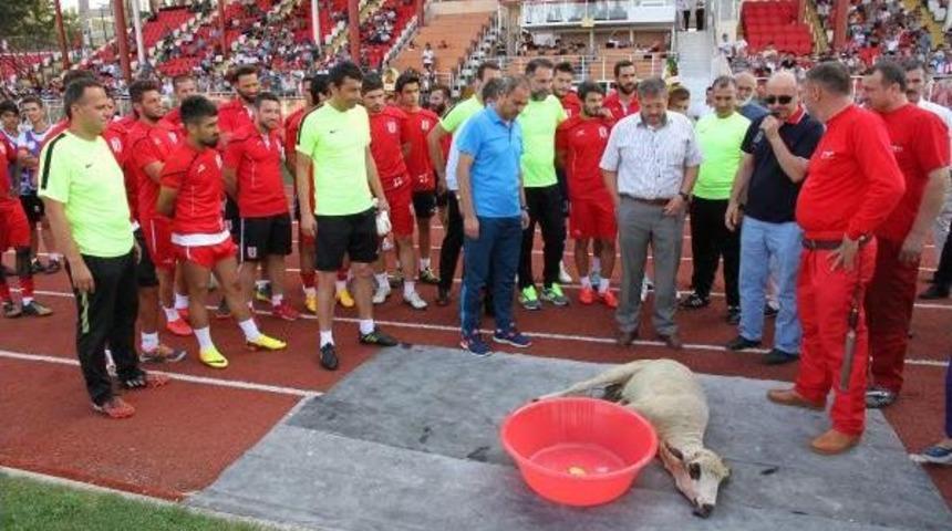 Balıkesirspor Taraftarını Coşturdu