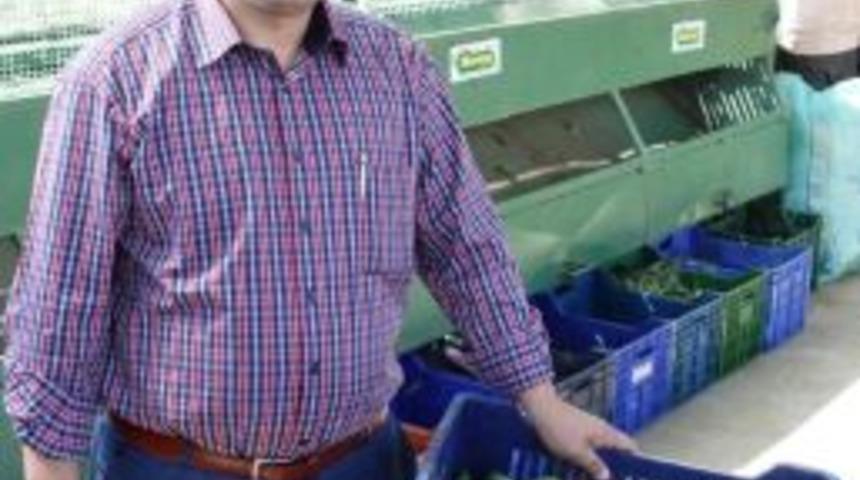 &Ouml;demiş&rsquo;te Salatalık &Uuml;reticisi İkinci Hasat İ&ccedil;in G&uuml;n Sayıyor