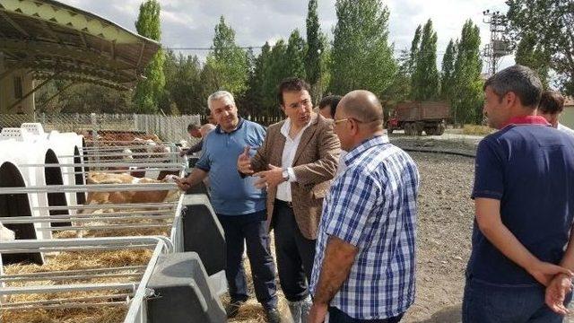 Ak Parti Milletvekili Aydemir: “kararlıyız” 1