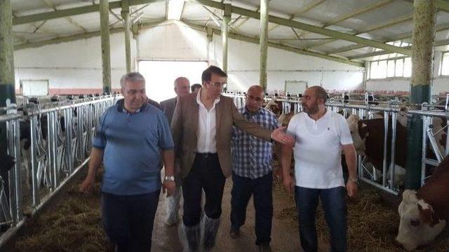 Ak Parti Milletvekili Aydemir: “kararlıyız” 2