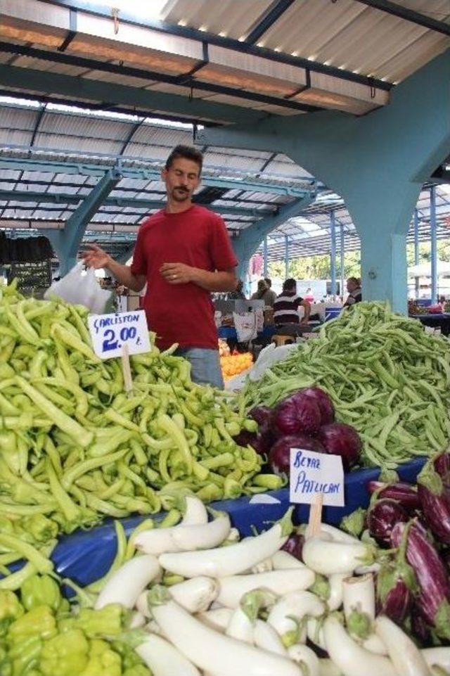 Edirne&rsquo;de Beyaz Patlıcan D&ouml;nemi 1