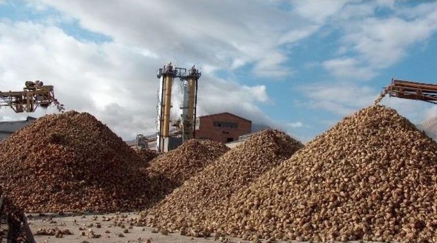 Elbistan&rsquo;da Şeker Pancarı Kampanya D&ouml;nemi 17 Eyl&uuml;l&rsquo;de Başlıyor