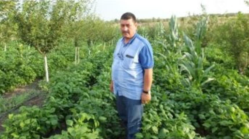 Balıkesir&rsquo;de Emeklinin Hobi Bah&ccedil;esi