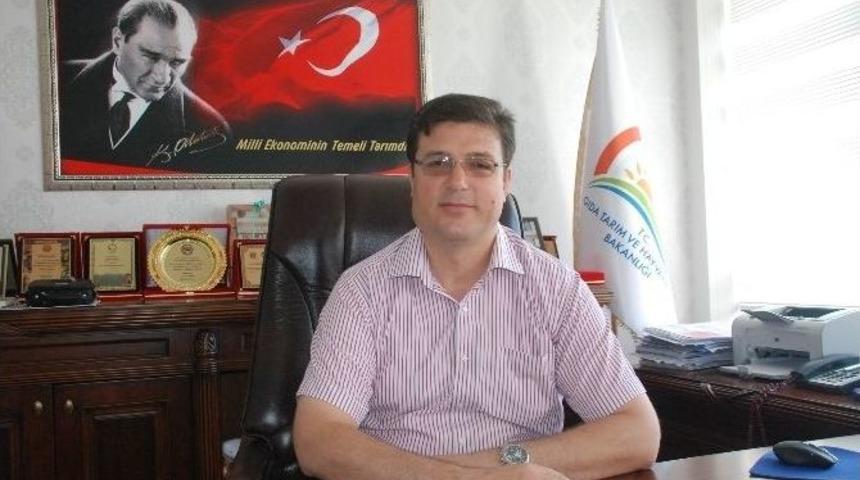 Tokat&rsquo;ta Seracılıkta Atılım