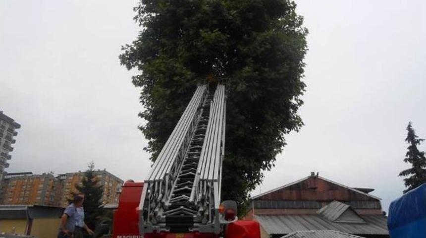 Bu Kez Ağa&ccedil;ta Mahsur Kalan İş&ccedil;iyi Kurtardılar