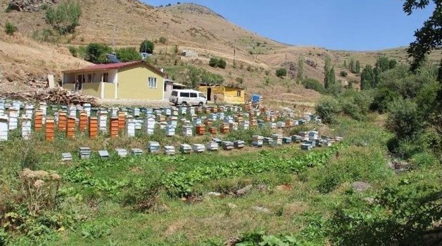 Oltu&rsquo;da Bal Sezonu Başlıyor