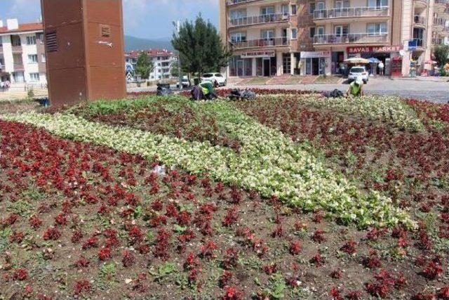 Bolu'da 'yıldız' Tartışması