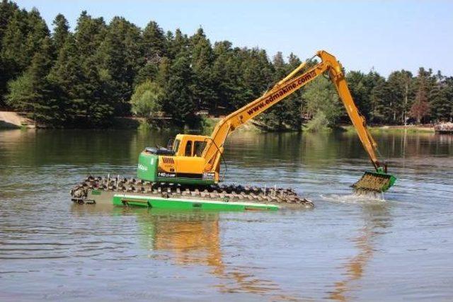 Temizlenen Doğa Harikasının Simgesi Nilüferler Ortaya Çıktı