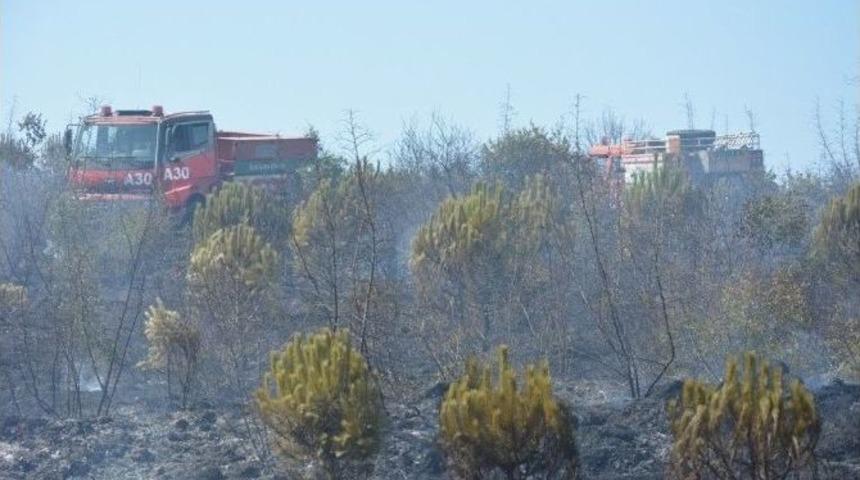 Bir Tabela Y&uuml;z&uuml;nden 5 Hektar Orman K&uuml;l Oldu