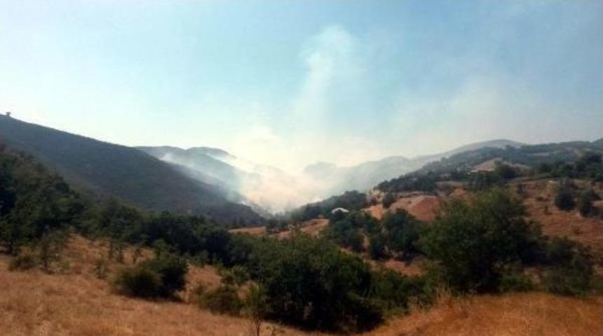 Bingöl'de Orman Yangını