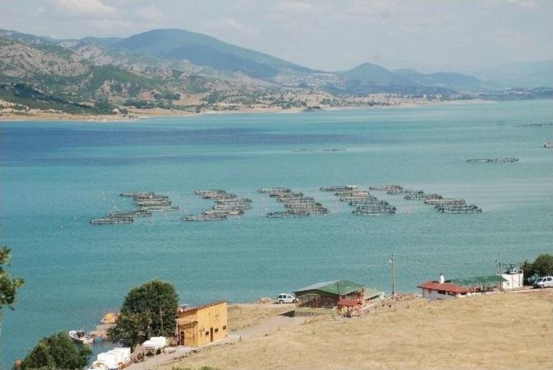 Almus, Alabalık &Uuml;retimiyle Adından S&ouml;z Ettiriyor