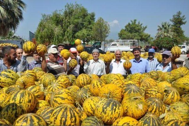 Bıyıklı Kavunu Markalaşacak