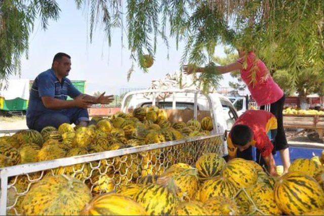 Bıyıklı Kavunu Markalaşacak