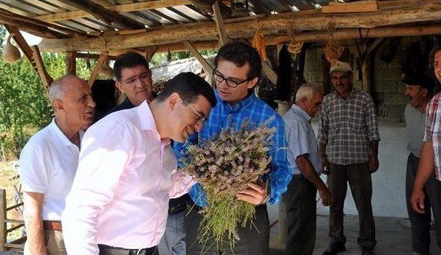 Kepez&rsquo;e G&uuml;lhane Geliyor 2