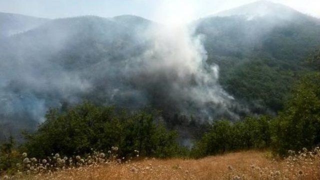 Bingöl Valiliği: Jandarma Karakoluna Ateş Açan Pkk'lıların Çıkardığı Yangın Söndürüldü