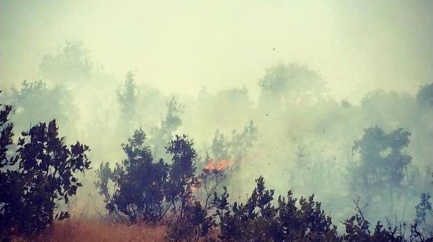 Eruh&rsquo;ta Orman Yangını