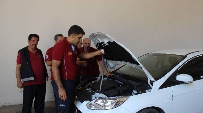 Otomobilden Yılan &Ccedil;ıktı