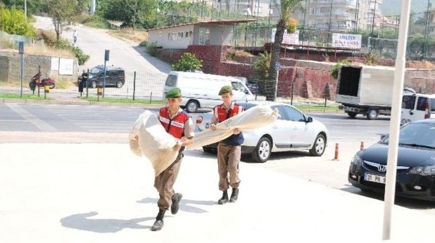 Alanya&rsquo;da Uyuşturucu Operasyonu