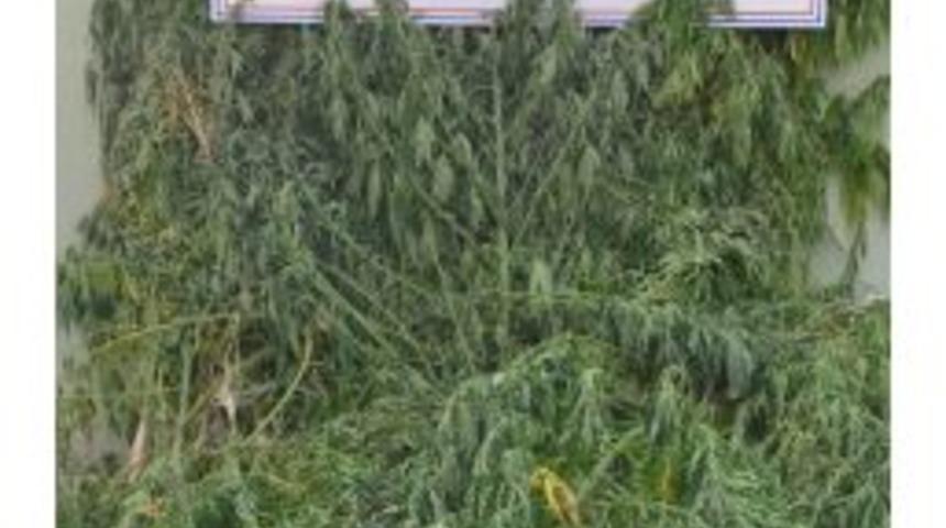 Denizli&rsquo;de Uyuşturucu Operasyonu: 5 G&ouml;zaltı