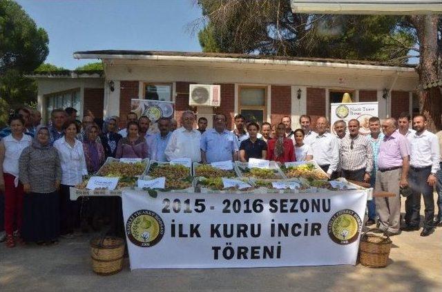 Nazilli’de Sezonun İlk İnciri Törenle Alındı