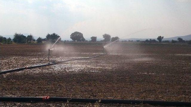 Aydınlı Mühendisler Tavas’ta Sulama Eğitimi Verdi