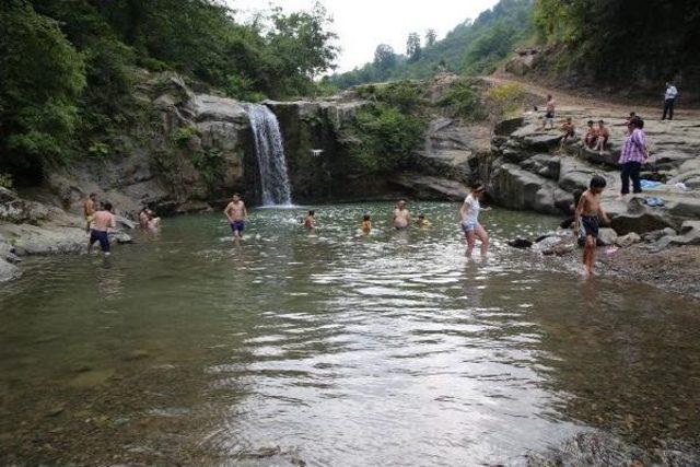 Sıcaktan Bunalanlar, Ordu'nun Derelerine Akın Etti